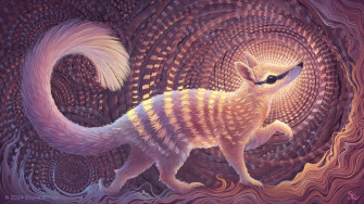 Noble Numbat By Sylviaritter Wallpaper