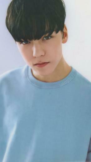Seventeen Wallpaper Vernon In