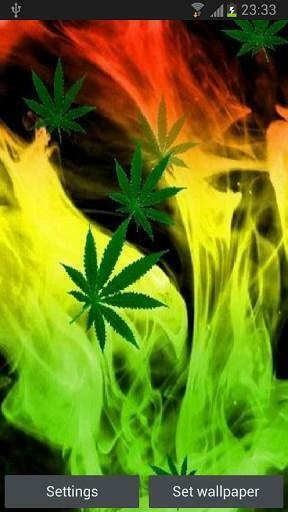 Weed HD Live Wallpaper App For Android By Best Superstars