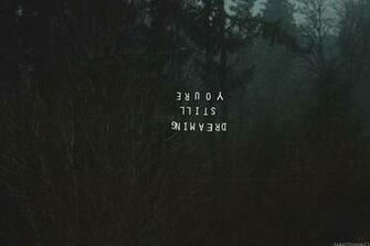Dream Beautiful Dark Forest Image On Favim
