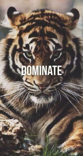 Iheartbasketball On Chill Motivational Quotes For Life