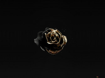 Image Of Rose Gold Color On Black 4k Wallpaper