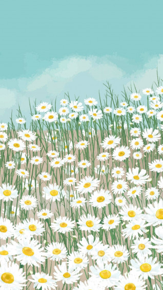 Daisy Aesthetic Wallpaper