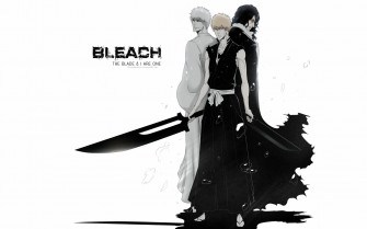 Bleach Wallpaper Hollow