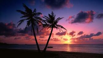 Cool Sunset Beautiful Landscapes Wallpaper