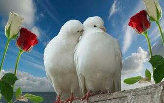 Full HD Love Wallpaper Wallpaper9