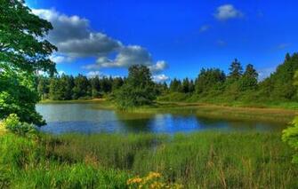 Wallpaper Forest The Sky Grass Clouds Trees Landscape Lake