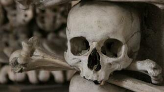 Skulls And Bones Wallpaper