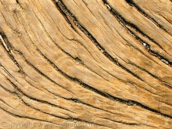 Wood Wallpaper You Are Ing The Named It