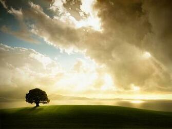 Landscape Wallpaper And Background Image Id