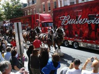 Budweiser Clydesdales Christmas Wallpaper