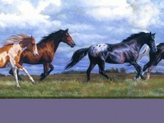 Horse Wallpaper For Computer