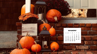 November Wallpaper Bies For Desktop Phones