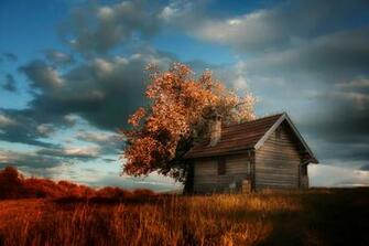 Cottage House Tree Spring Bloom Clouds Amir Bajrich Wallpaper