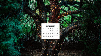 November Wallpaper Bies For Desktop Phones