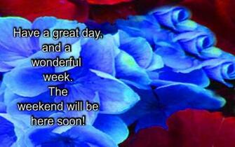 HD Thank You Flowers Wallpaper