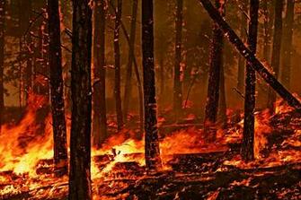 Wildland Firefighting Wallpaper