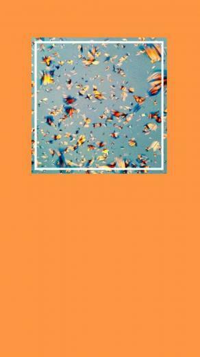 Monarch Butterfly Aesthetic Wallpaper My In