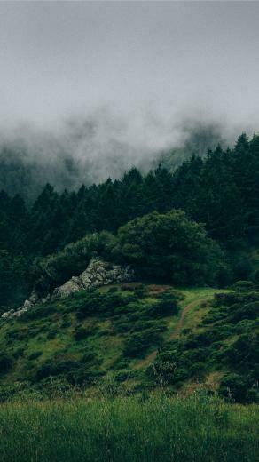 Beautiful Back To Nature iPhone Wallpaper Preppy