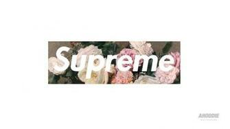 Wallpaper Cartoon Tagged Logo O8lmyksdf Static Supreme