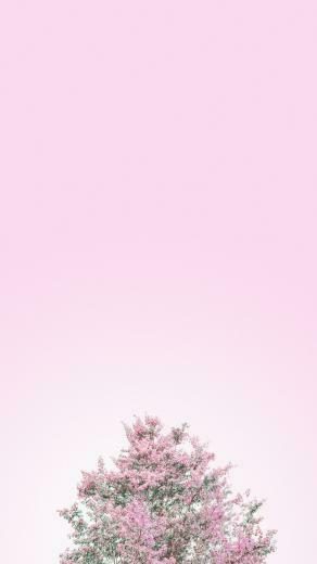 Minimalist Aesthetic Wallpaper Top