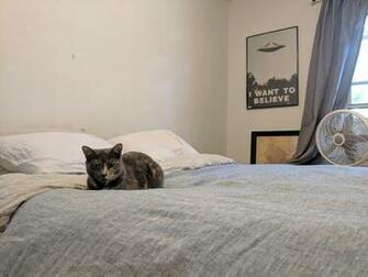 I Love My Poster In The Background Of This Picture Xfiles