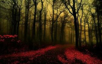 Mysterious Forest Path In Red Wallpaper