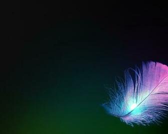 Feather Angel 3d Pictures On A Computer And Wallpaper