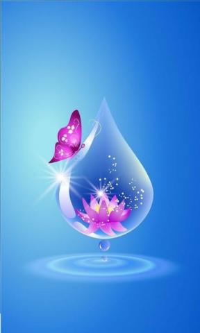 Wallpaper Saved By Sriram Pretty iPhone Butterfly