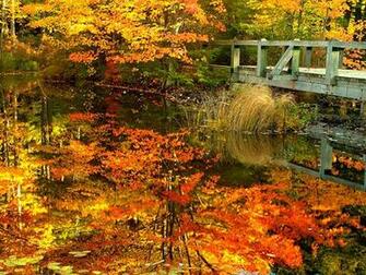 Which Is Available For Fall Themed One Of The Most