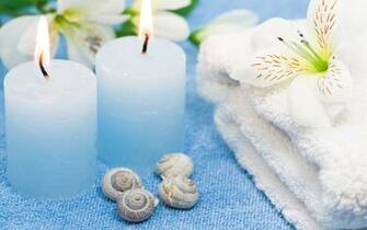 Candle Seashell Snail Shell HD Wallpaper Art Fantasy