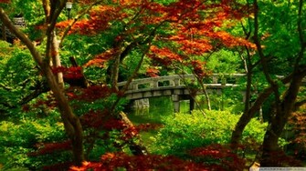 Japanese Garden Kyoto Wallpaper