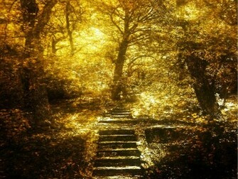 Pcmovies HD Superb Nature Wallpaper