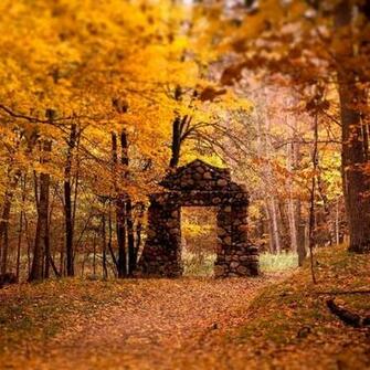 Fall iPad Wallpaper