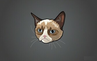 Grumpy Cat HD Wallpaper