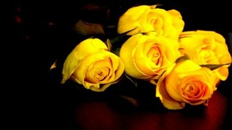 Wallpaper Yellow Roses Background