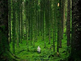 Picture Scotland Wallpaper National Geographic Photo Of The Day