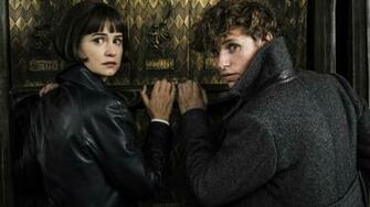 Wallpaper Fantastic Beasts The Crimes Of Grindelwald