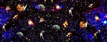 Kitty Babe In Space Cat Graphic Wallpaper Footprint