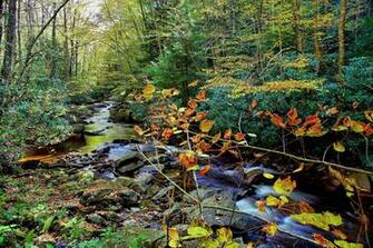 Red Run Wv Fall Foliage Creeks Streams Nature Pictures By