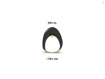 Penguin Wallpaper For Your Computer Cute