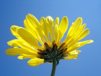In The Winter Months I Am Still Clinging On To Image Such As This