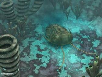 Paleozoic Era Gallery