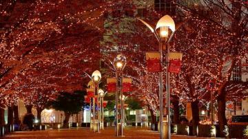 Winter Christmas Lights Background HD Wallpaper
