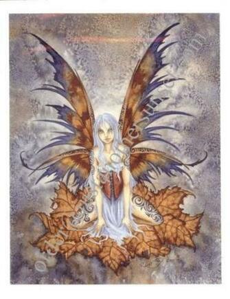 Pin Amy Brown Fairies Tattoos Universal Weight Picture To