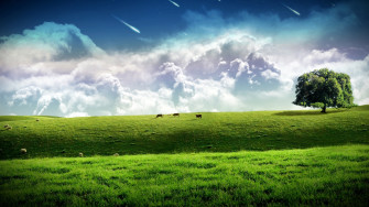 Farm Desktop Wallpaper