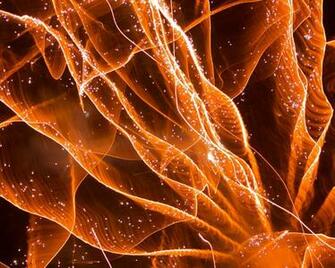 Related Pictures Cell Biology Wallpaper Car