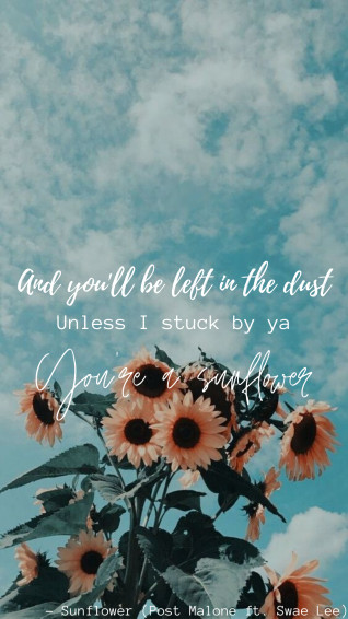 Wallpaper Sunflower Lyric Quote Mobile Wattpad