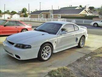 Mustang Cobra Wallpaper Front Bumper From A