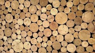Photo Wood Wallpaper Logs Surface Material Casing Max Pixel